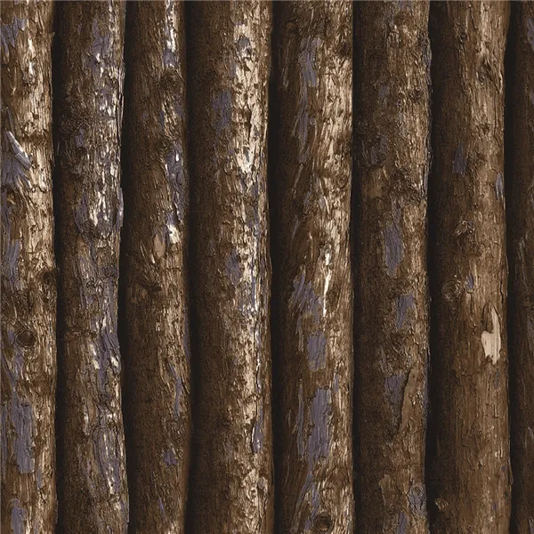 MT779602