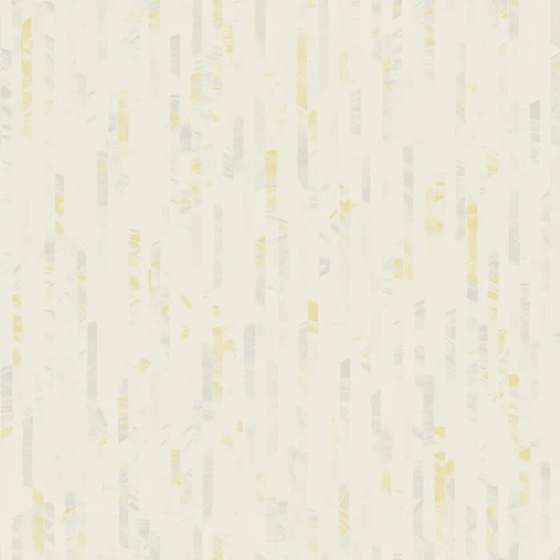 SN998281