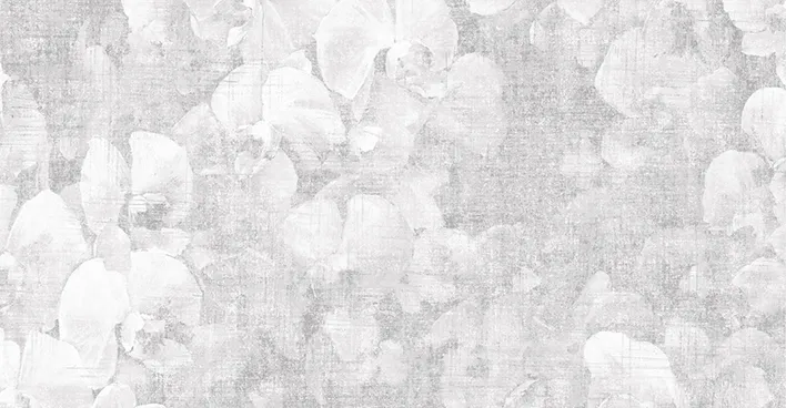 NVP543902