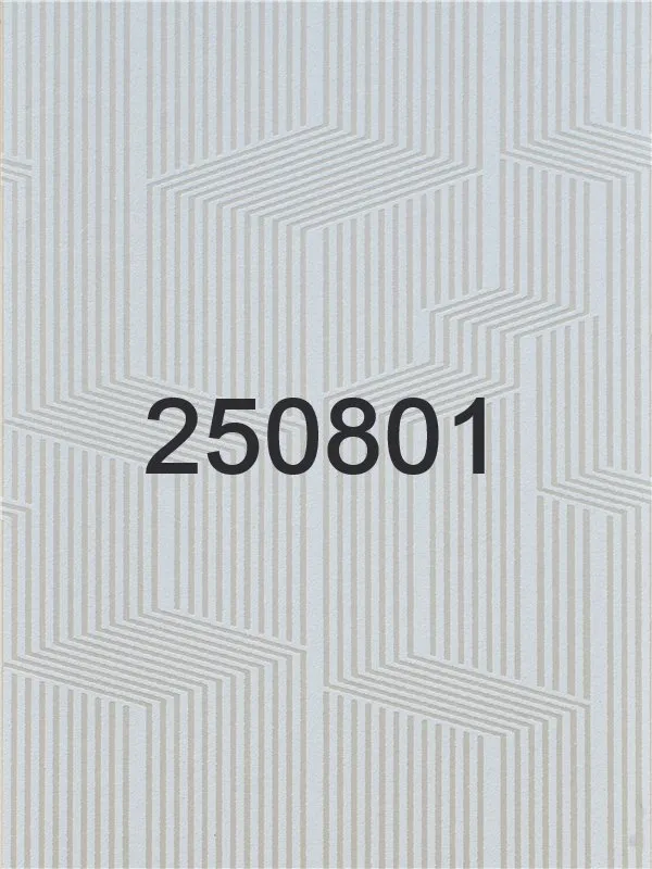 250801 - 250802 - 250803