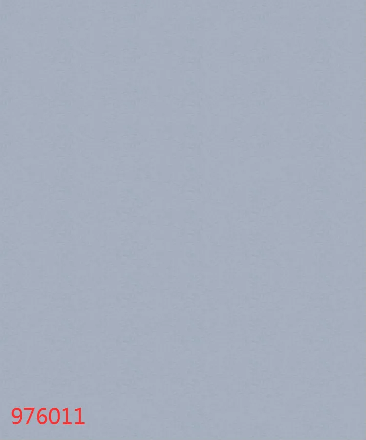 976011