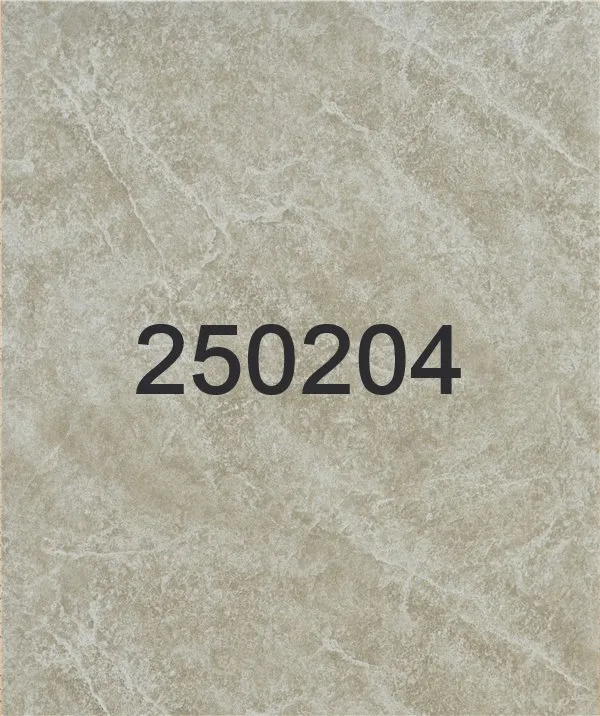 250204 - 250205