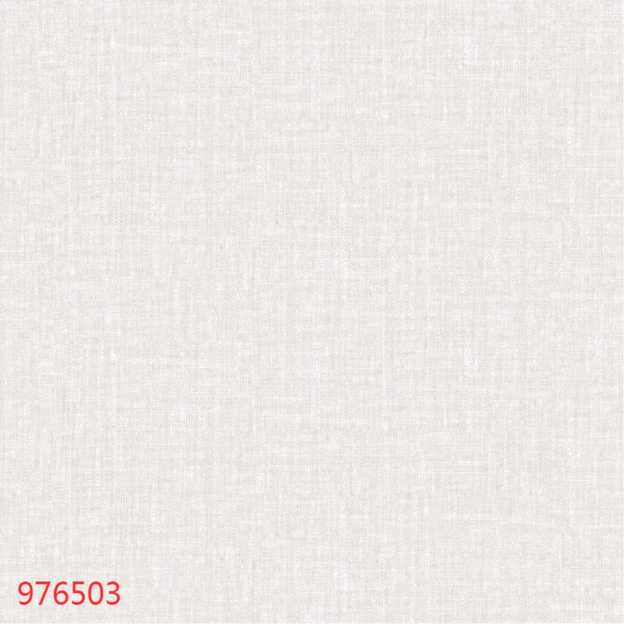 976503