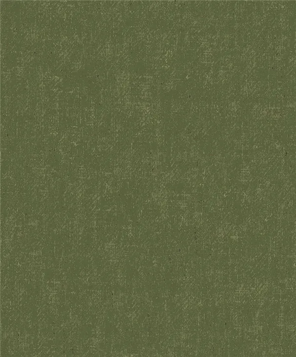 TV1702
