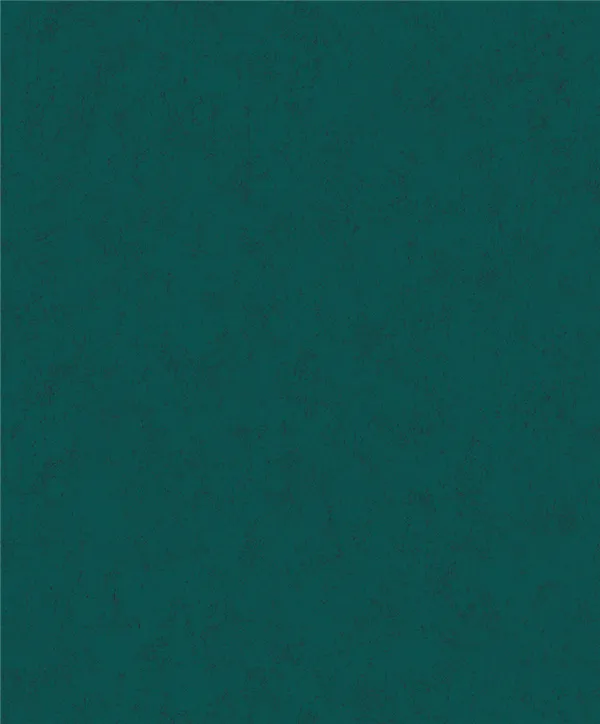 HK196313