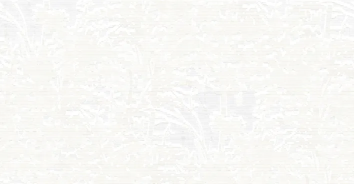 NVP544401