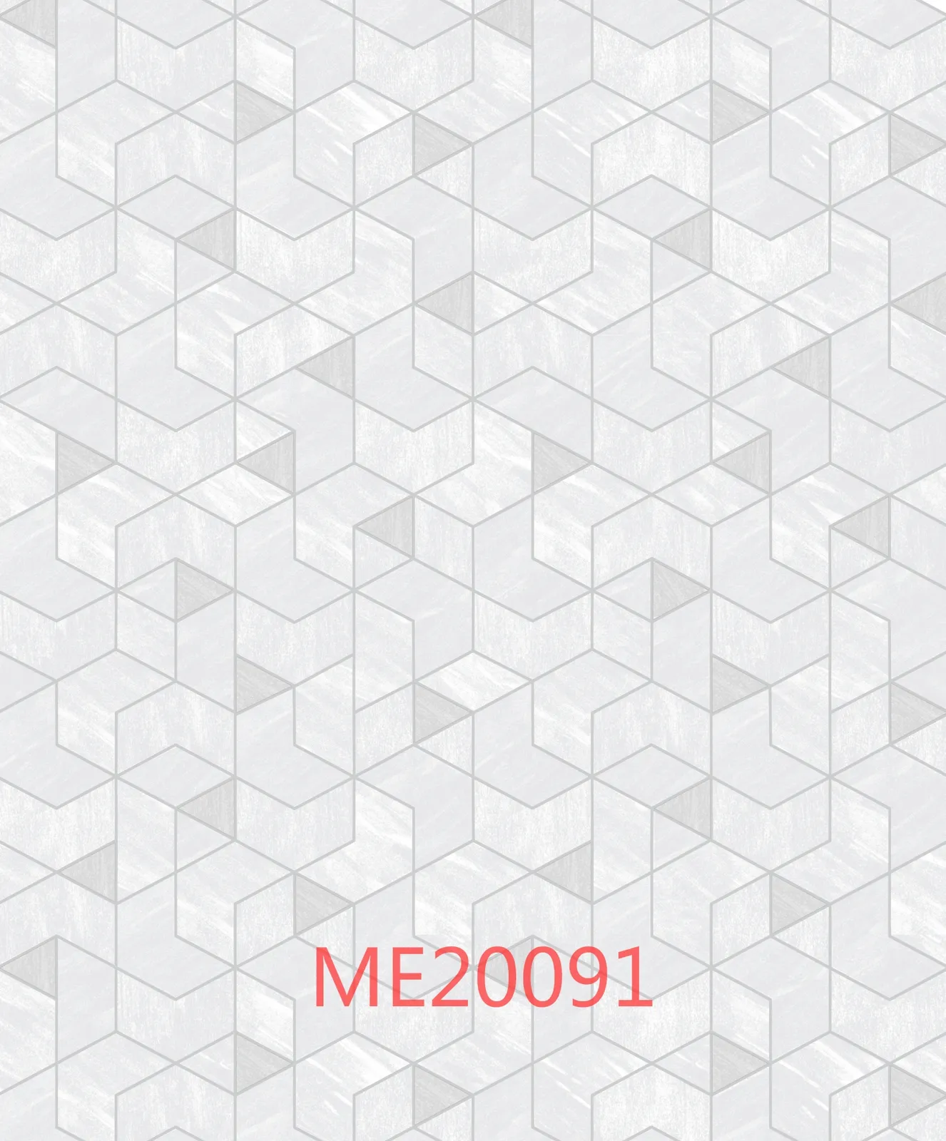 ME20091