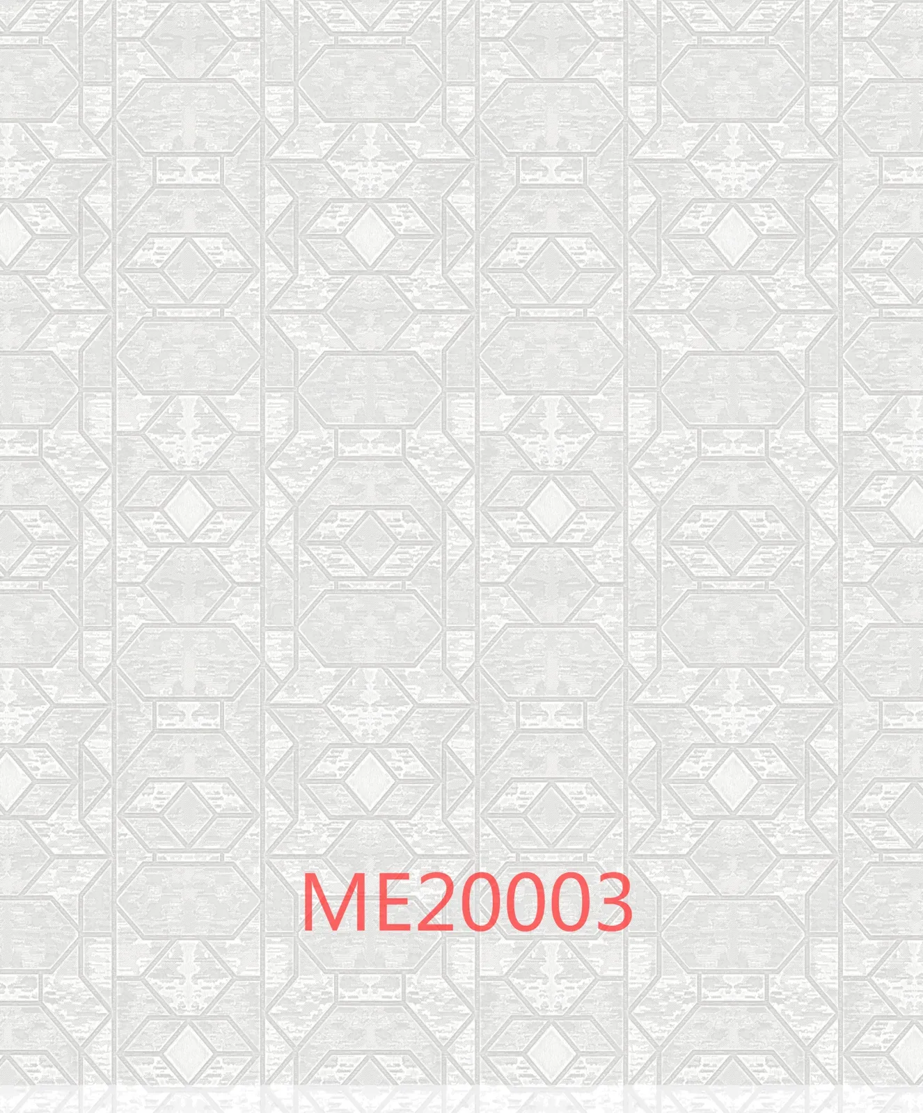 ME20003