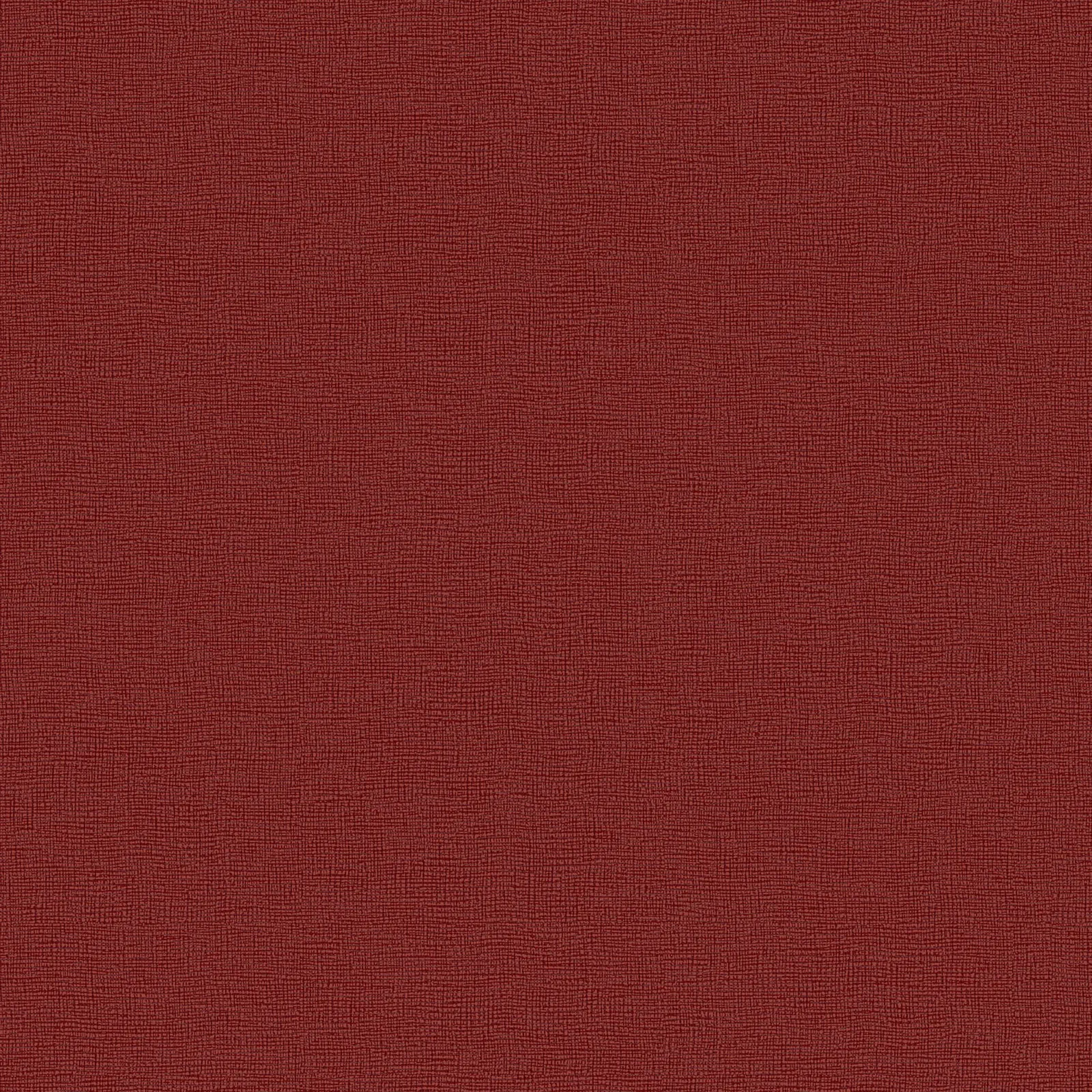 NT-04047