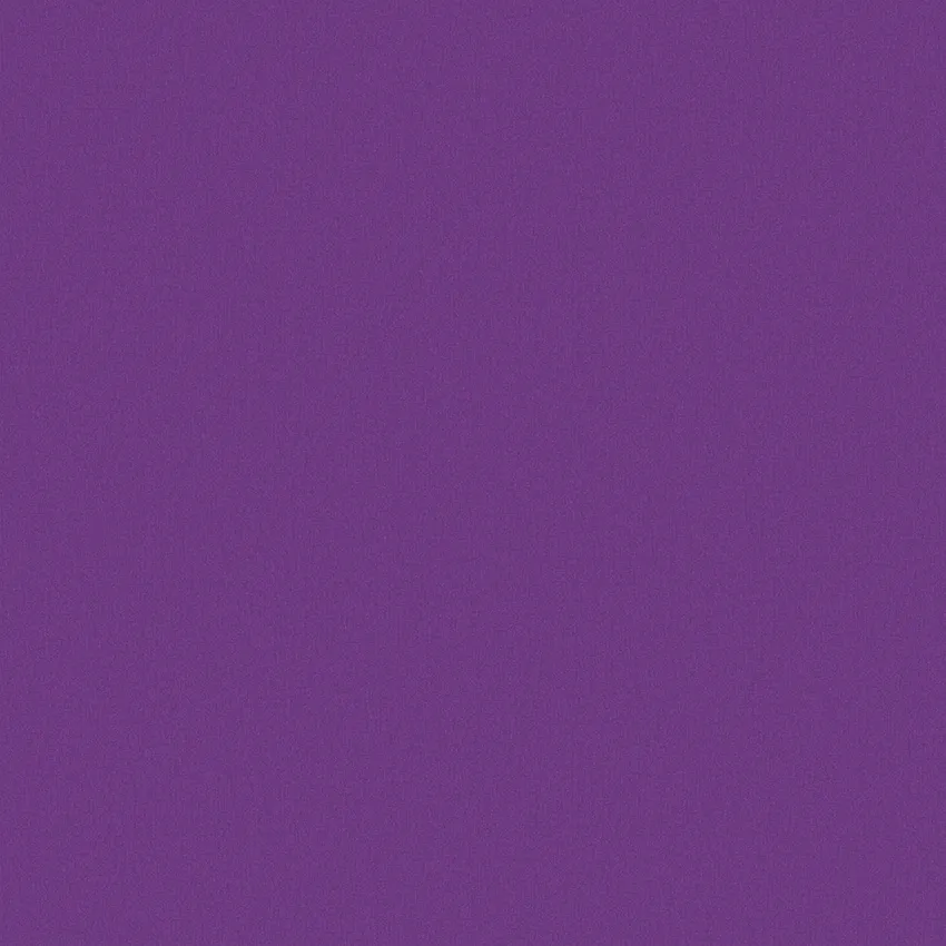 240495
