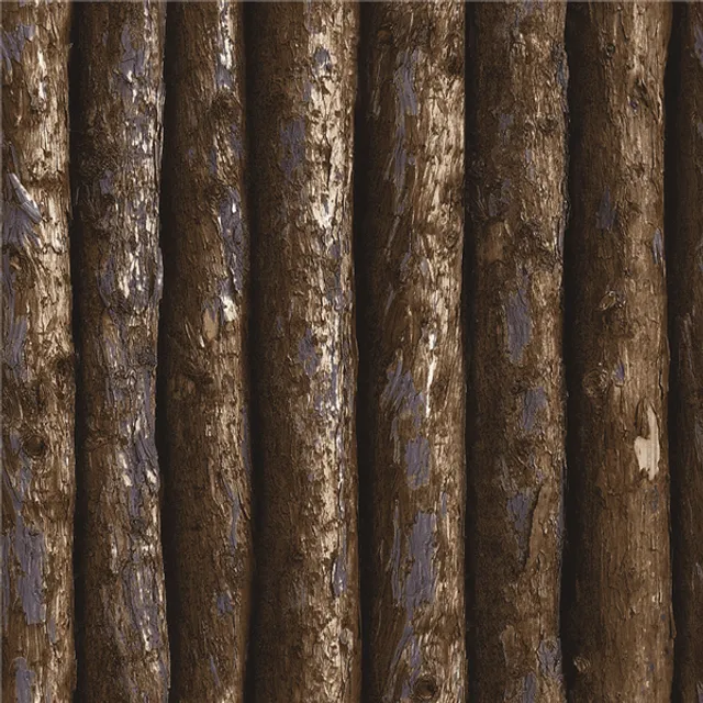 MT779601