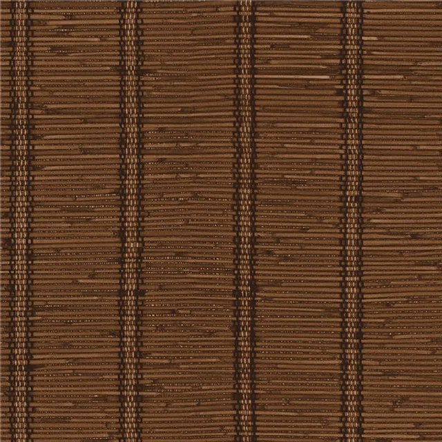 MT779501