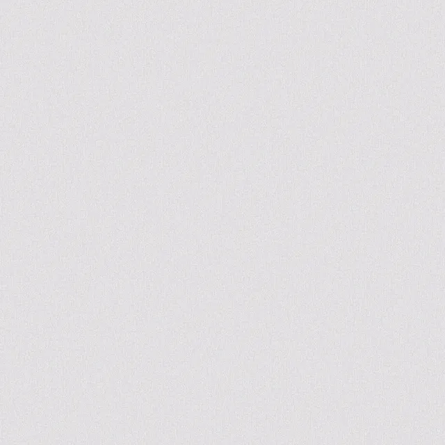 240484