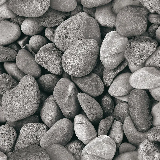 SA1064